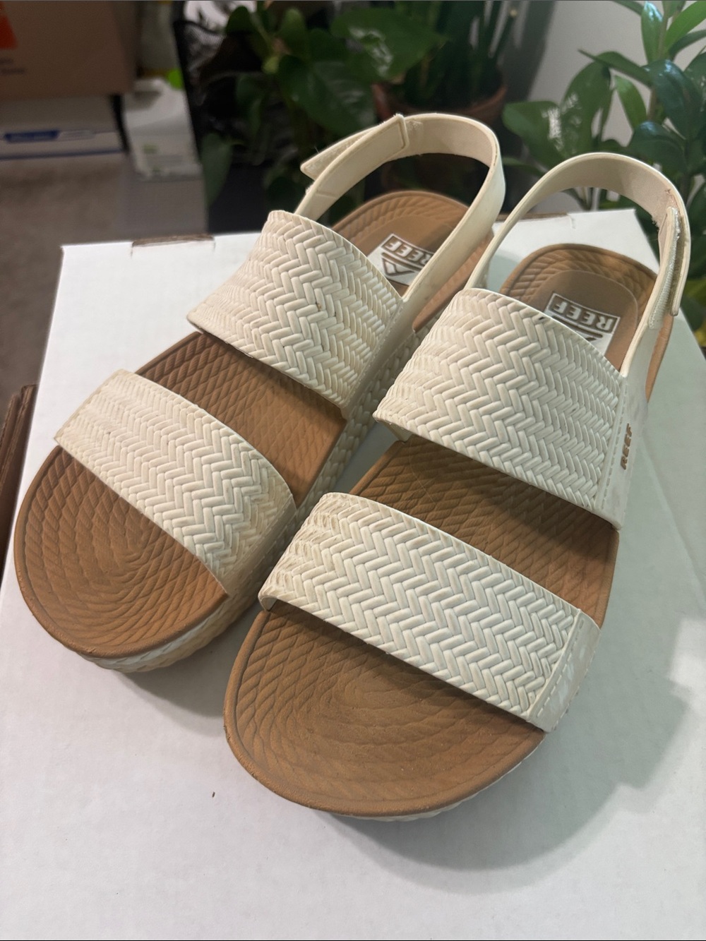 Reef Women's Cream rubber faux-Braided Double-Strap Slingback Sandals 10